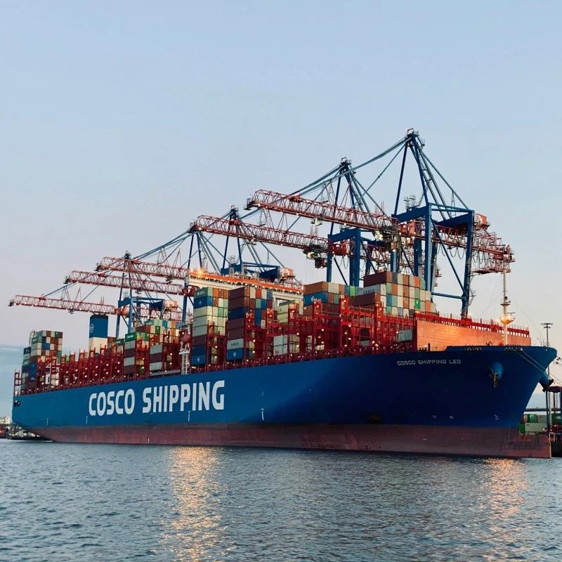 Evergreen OOCL COSCO Sea Freight